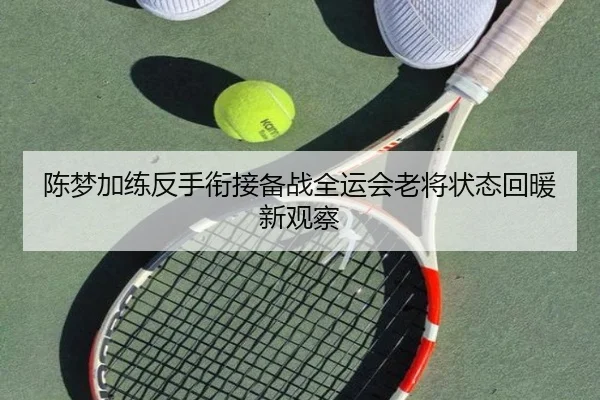 陈梦加练反手衔接备战全运会老将状态回暖新观察(MKSPORTS)